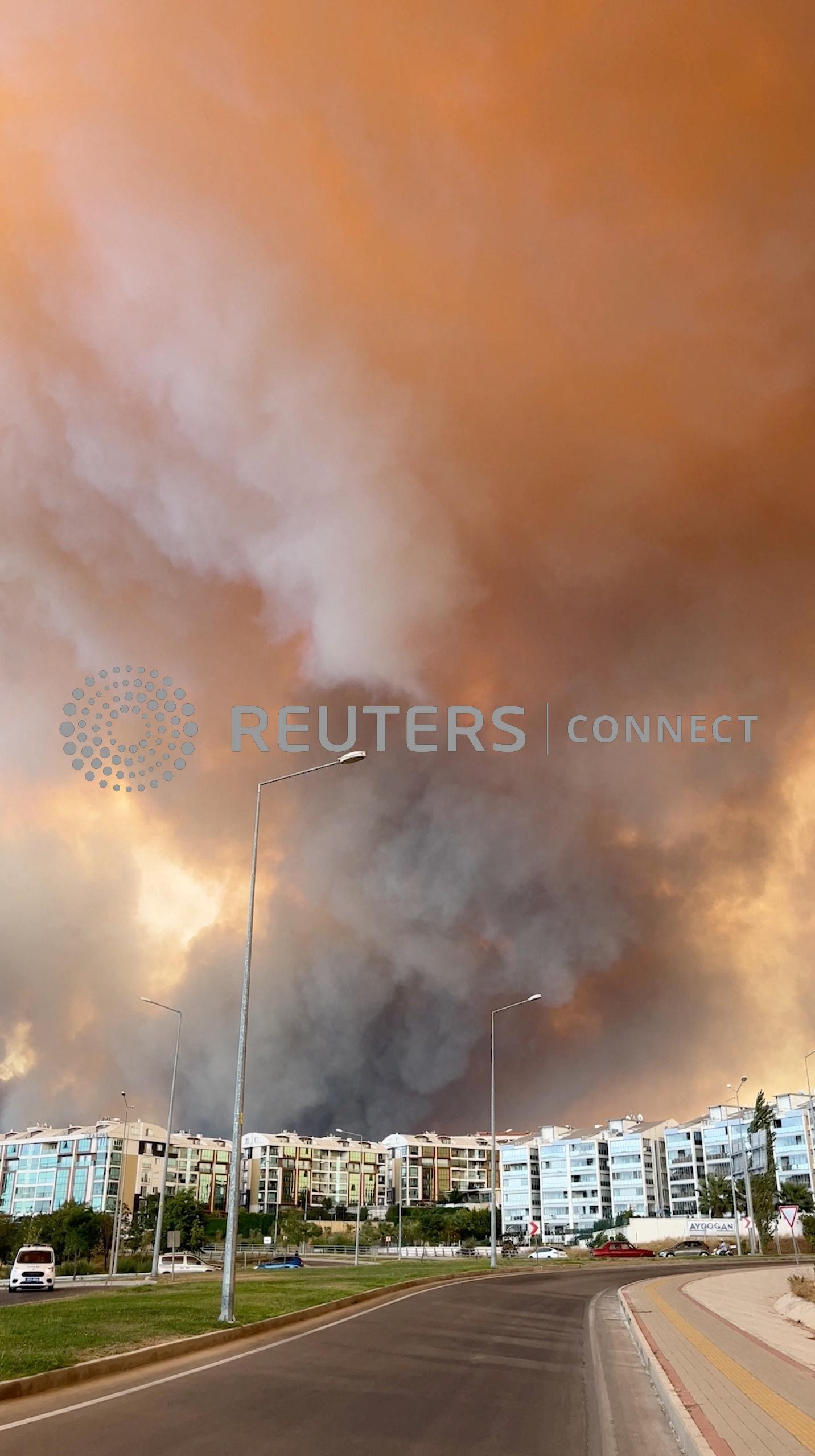 Un incendio forestal en Canakkale, Turquía