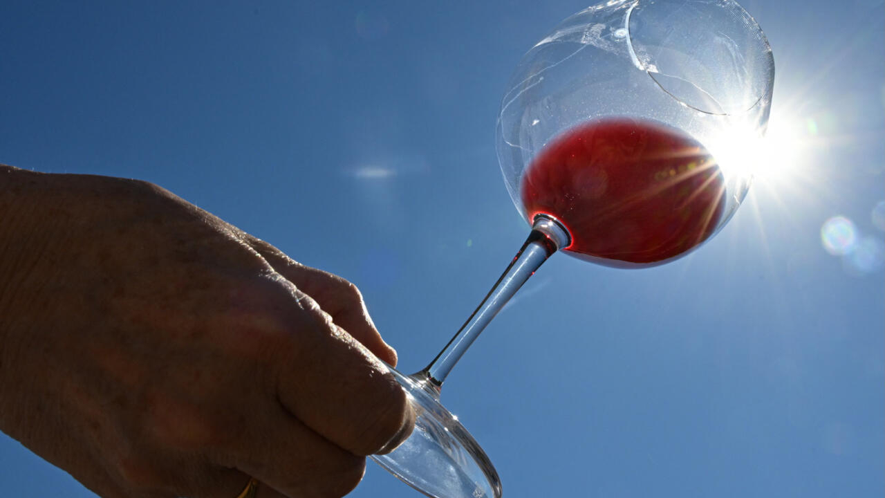 Francia y la UE gastarán 200 millones de euros para destruir los excedentes de vino