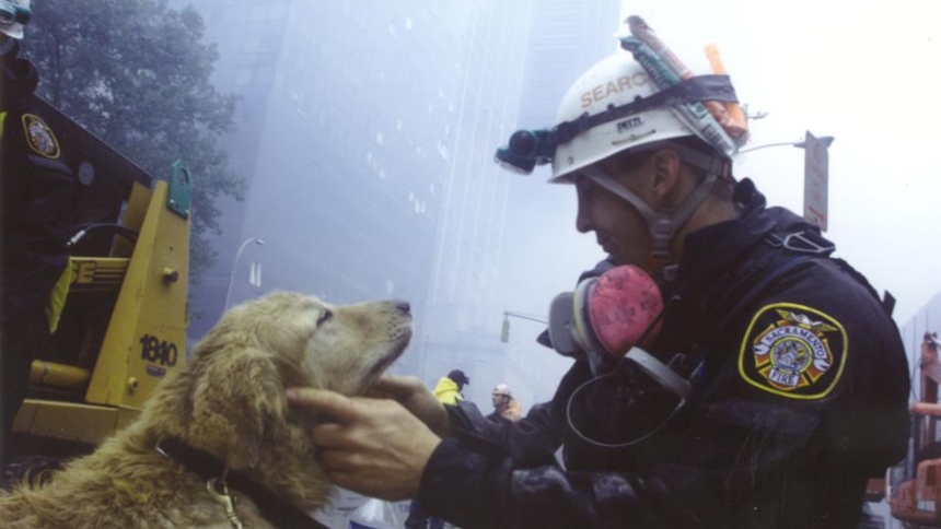 22 años del atentado terrorista: el día que los perros rescatados se deprimieron
