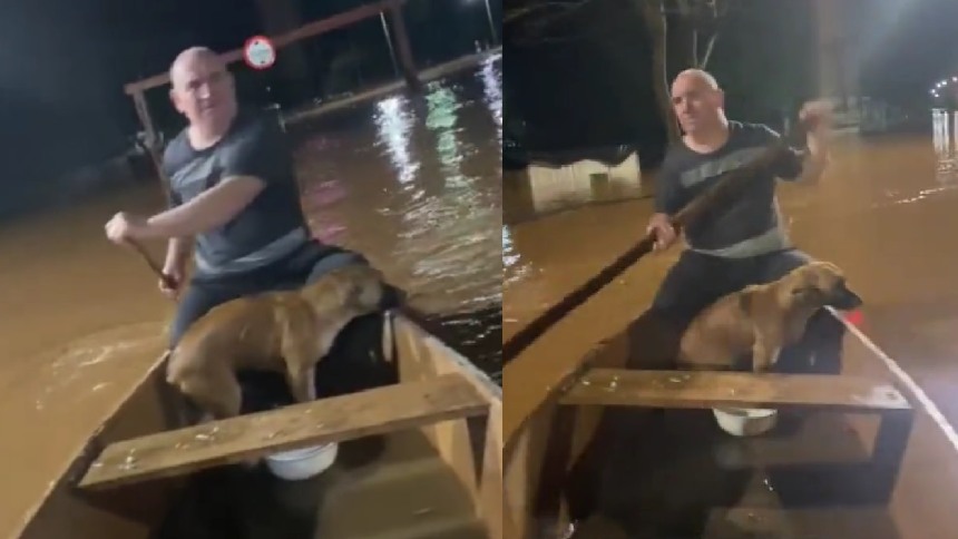 Video de un cachorro salvado de las inundaciones en Brasil
