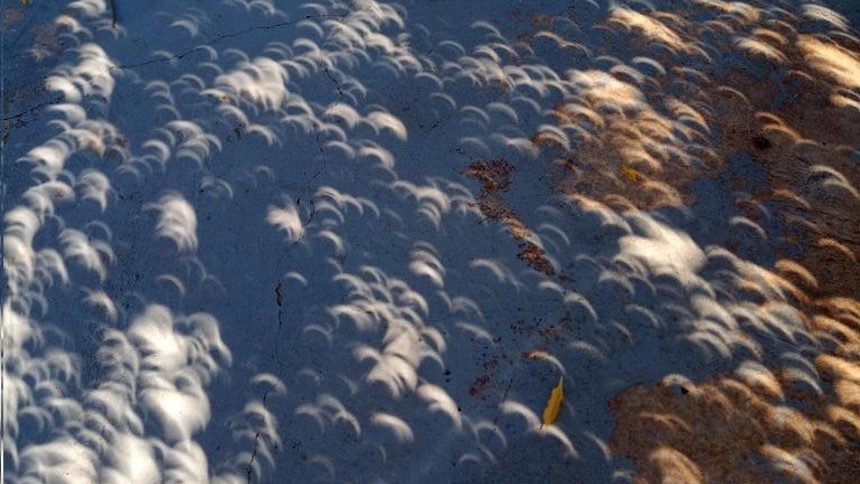 Las misteriosas sombras que aparecieron durante el eclipse solar