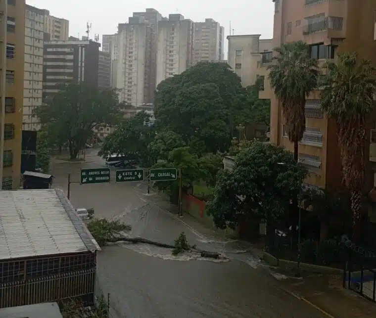 Lluvias provocaron caída de árboles e inundaciones en Caracas #01Oct
