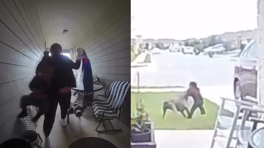 Madre vivió momentos de horror cuando el pitbull atacó a su hijo de 2 años