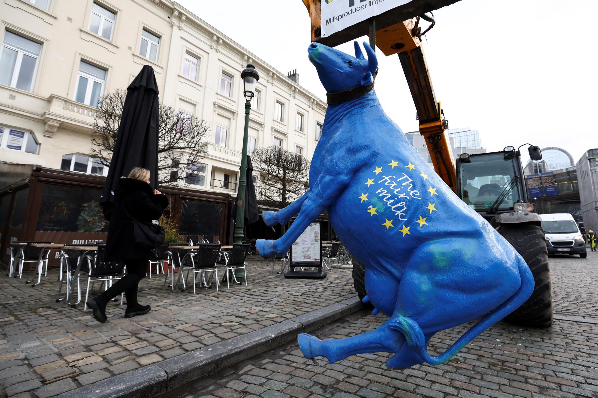 Una vaca cuelga de un vehículo mientras los agricultores franceses protestan cerca del Parlamento Europeo en Bruselas, Bélgica, el 24 de enero de 2024.