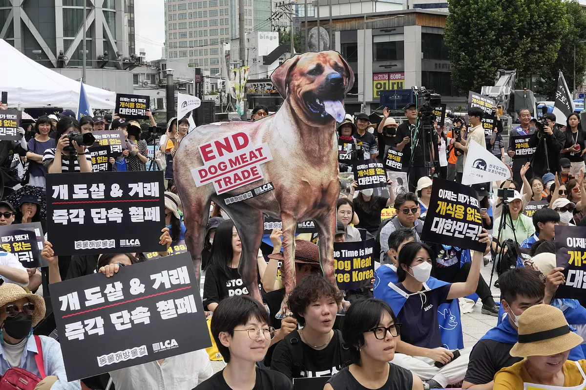 El parlamento de Corea del Sur prohíbe el consumo de carne de perro