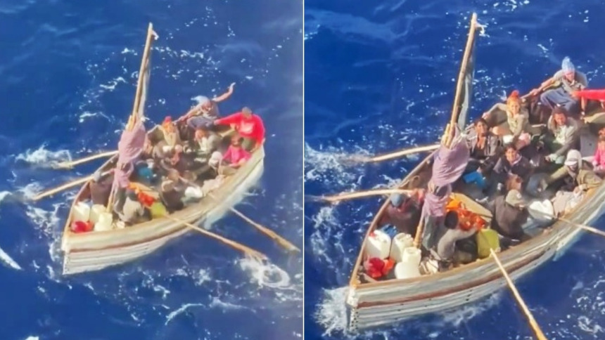 Ciervos cubanos fueron rescatados por un crucero frente a las costas de Miami