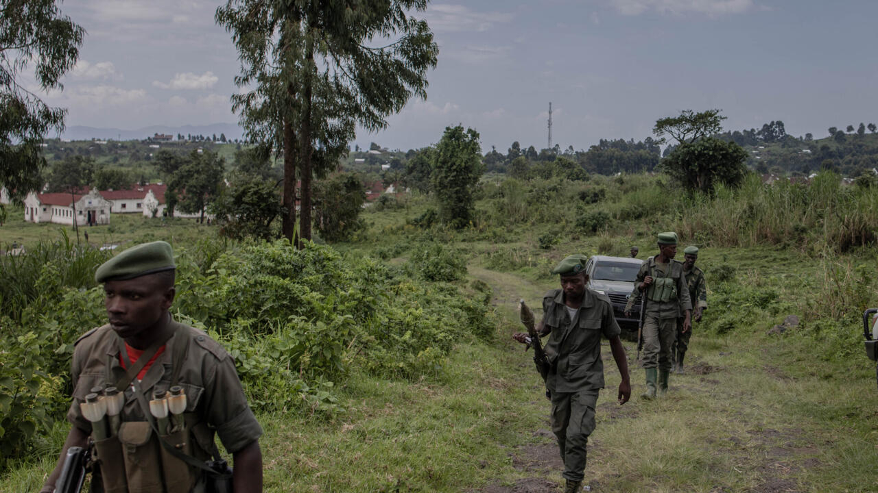 Francia insta a Ruanda a poner fin al apoyo a los rebeldes del M23 y retirar las tropas de la República Democrática del Congo