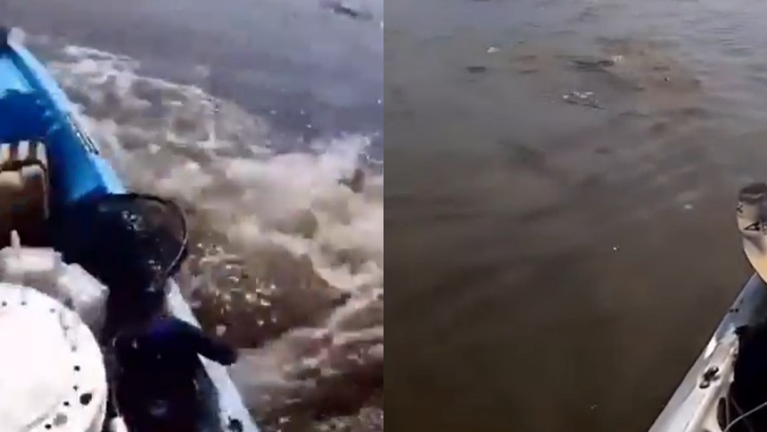 lo que grabó un hombre mientras navegaba en kayak por el río Amazonas