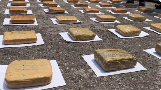 Detenidos 10 sujetos en Táchira por transportar 84 kilos de droga
