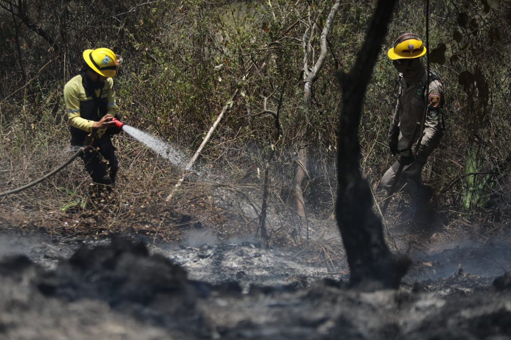 Esta semana se han controlado más de 40 incendios forestales
