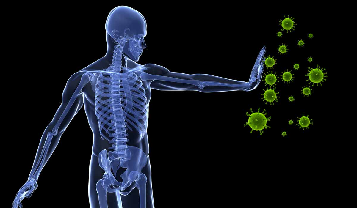 Un sistema inmunológico estable mejora una vida sana
